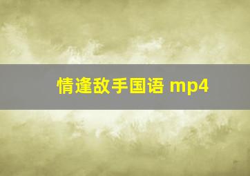 情逢敌手国语 mp4